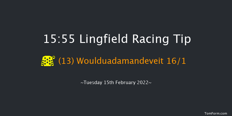 Lingfield 15:55 Handicap Hurdle (Class 5) 23f Sat 12th Feb 2022