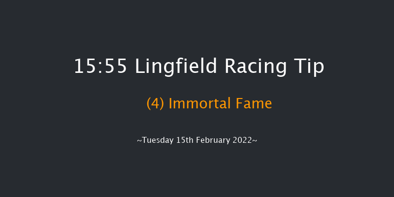 Lingfield 15:55 Handicap Hurdle (Class 5) 23f Sat 12th Feb 2022