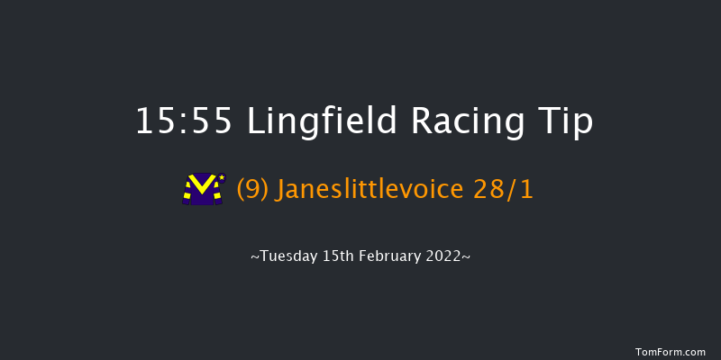 Lingfield 15:55 Handicap Hurdle (Class 5) 23f Sat 12th Feb 2022