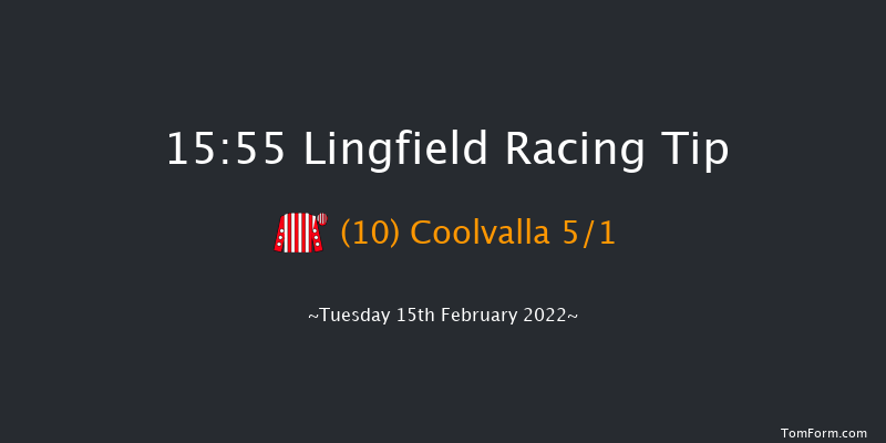 Lingfield 15:55 Handicap Hurdle (Class 5) 23f Sat 12th Feb 2022