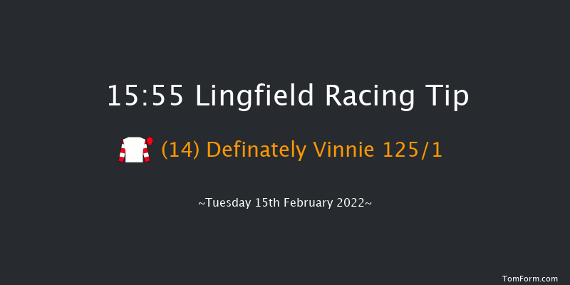 Lingfield 15:55 Handicap Hurdle (Class 5) 23f Sat 12th Feb 2022