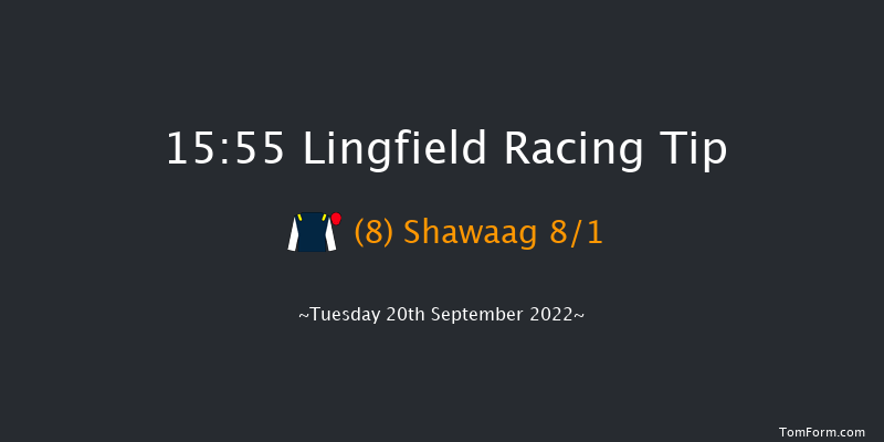 Lingfield 15:55 Handicap (Class 6) 5f Wed 31st Aug 2022