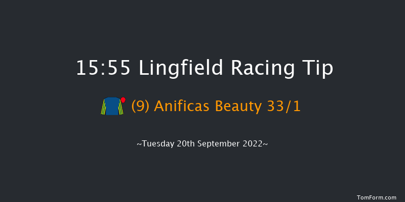 Lingfield 15:55 Handicap (Class 6) 5f Wed 31st Aug 2022