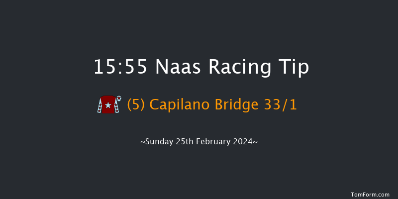 Naas  15:55 Handicap Hurdle 23f Sat 10th Feb 2024