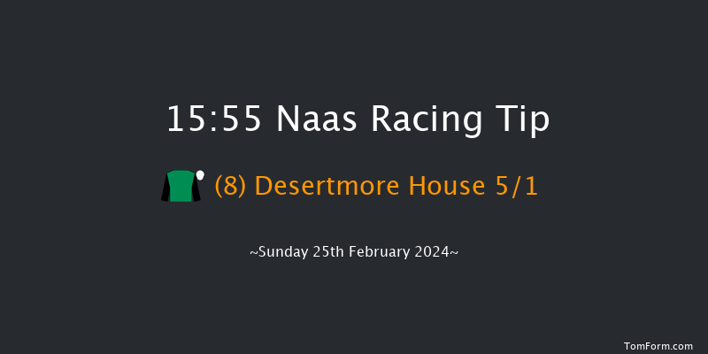 Naas  15:55 Handicap Hurdle 23f Sat 10th Feb 2024