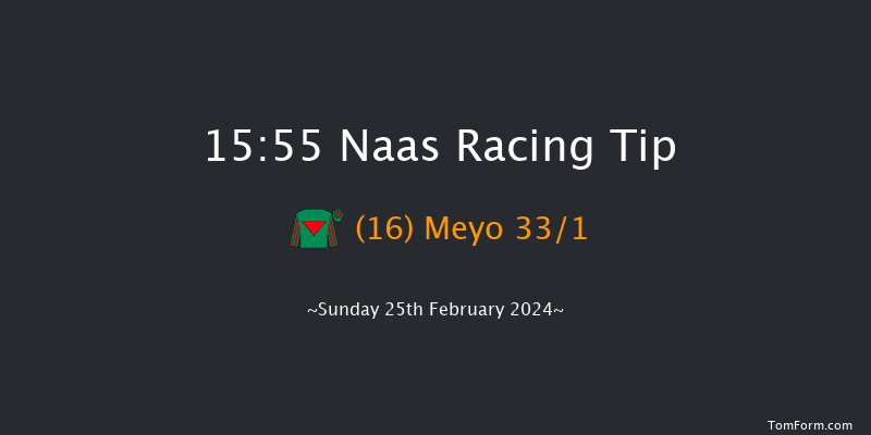 Naas  15:55 Handicap Hurdle 23f Sat 10th Feb 2024