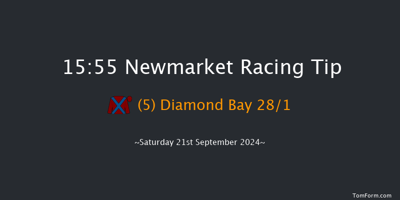 Newmarket  15:55 Handicap (Class 2) 18f Sat 24th Aug 2024