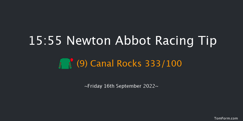 Newton Abbot 15:55 Handicap Hurdle (Class 5) 17f Mon 5th Sep 2022