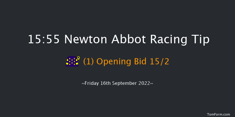 Newton Abbot 15:55 Handicap Hurdle (Class 5) 17f Mon 5th Sep 2022