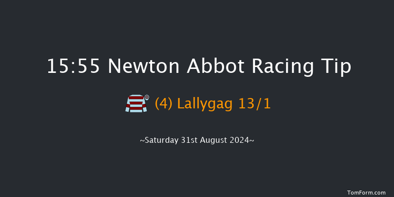 Newton Abbot  15:55 Handicap Hurdle (Class 2) 22f Thu 22nd Aug 2024