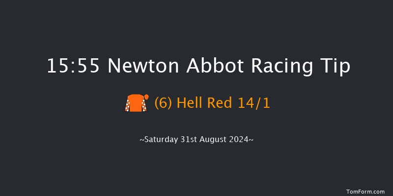 Newton Abbot  15:55 Handicap Hurdle (Class 2) 22f Thu 22nd Aug 2024