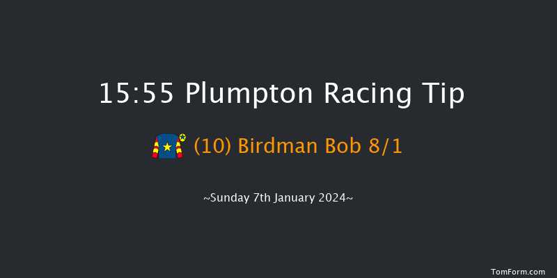 Plumpton 15:55 Handicap Hurdle (Class 4) 16f Mon 18th Dec 2023