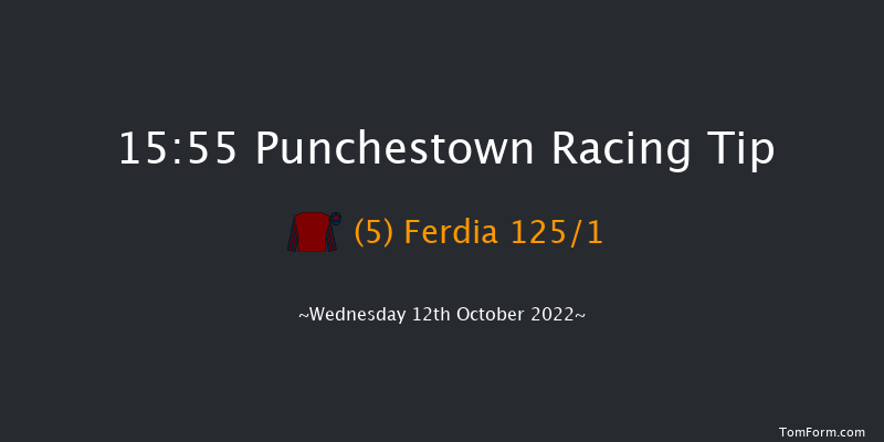 Punchestown 15:55 Maiden Chase 19f Tue 11th Oct 2022