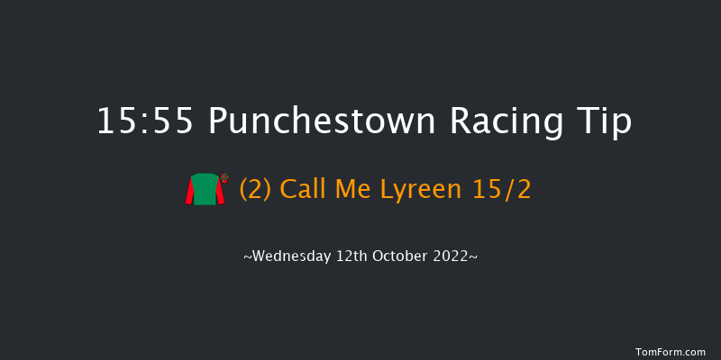 Punchestown 15:55 Maiden Chase 19f Tue 11th Oct 2022