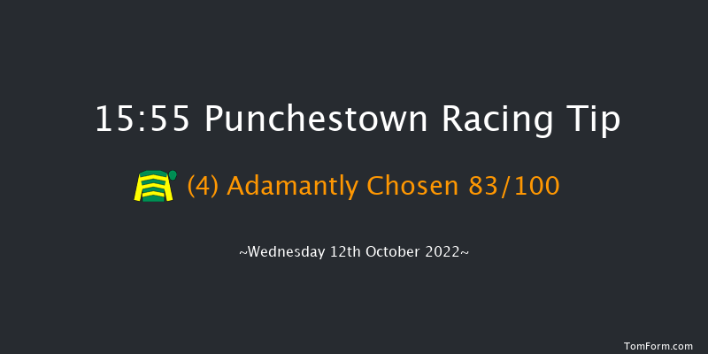 Punchestown 15:55 Maiden Chase 19f Tue 11th Oct 2022