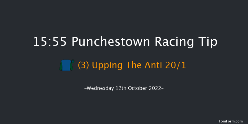 Punchestown 15:55 Maiden Chase 19f Tue 11th Oct 2022