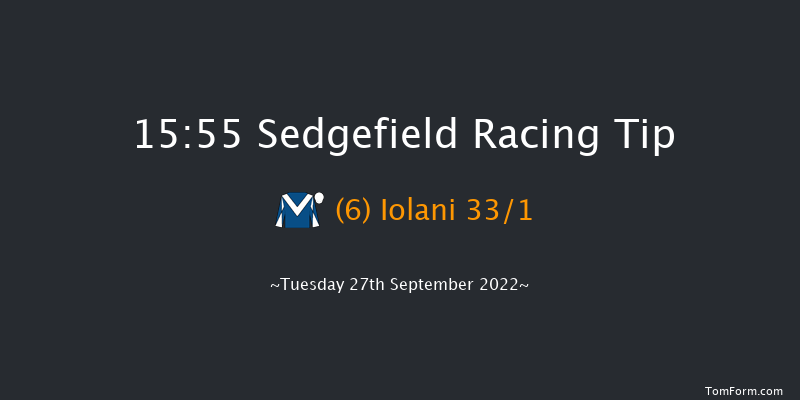 Sedgefield 15:55 Handicap Hurdle (Class 4) 20f Thu 1st Sep 2022