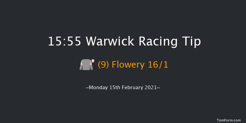 Paddy Power Warwick Castle Handicap Chase (GBB Race) Warwick 15:55 Handicap Chase (Class 2) 20f Wed 3rd Feb 2021