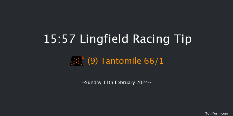 Lingfield  15:57 Stakes (Class 4) 6f Thu 8th Feb 2024