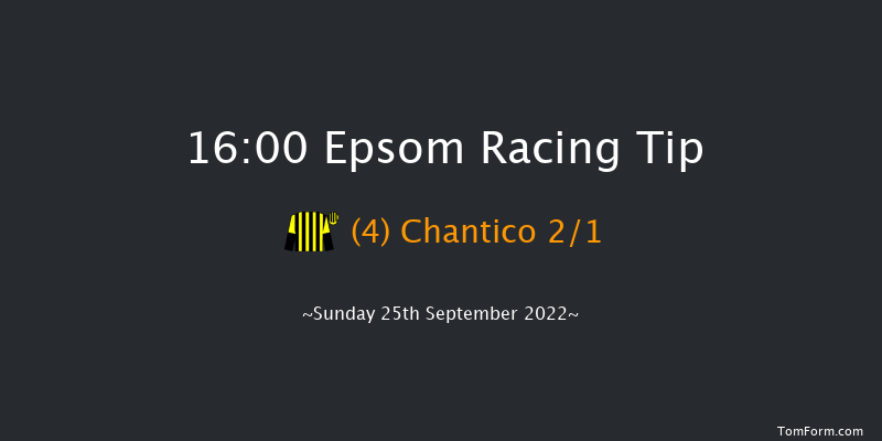 Epsom 16:00 Stakes (Class 4) 10f Thu 8th Sep 2022