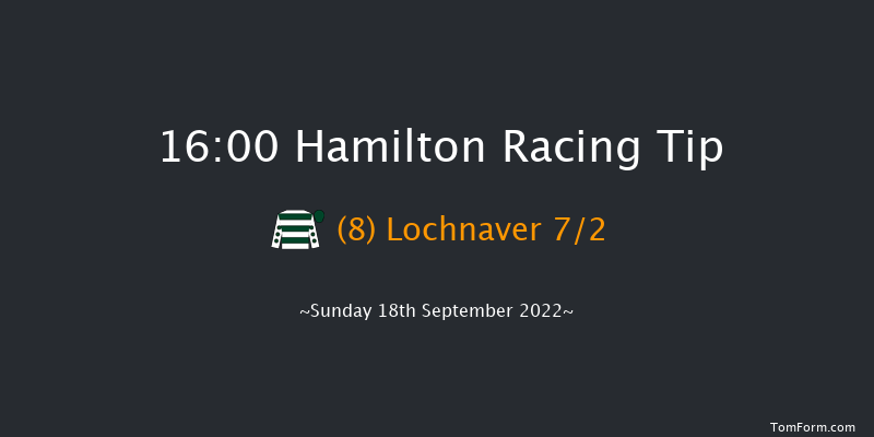 Hamilton 16:00 Handicap (Class 6) 12f Wed 31st Aug 2022