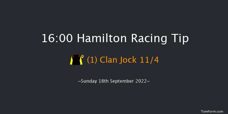 Hamilton 16:00 Handicap (Class 6) 12f Wed 31st Aug 2022