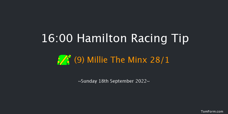 Hamilton 16:00 Handicap (Class 6) 12f Wed 31st Aug 2022