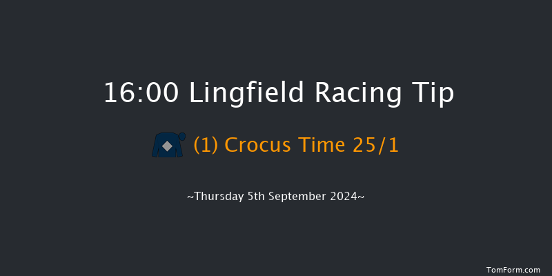 Lingfield  16:00 Handicap (Class 6) 6f Wed 4th Sep 2024