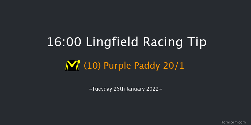 Lingfield 16:00 Handicap (Class 6) 10f Sun 23rd Jan 2022