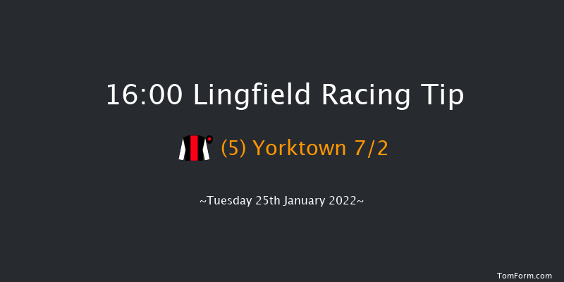 Lingfield 16:00 Handicap (Class 6) 10f Sun 23rd Jan 2022