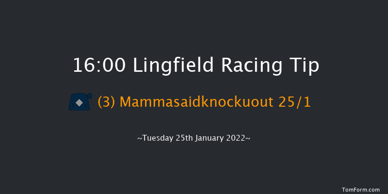 Lingfield 16:00 Handicap (Class 6) 10f Sun 23rd Jan 2022