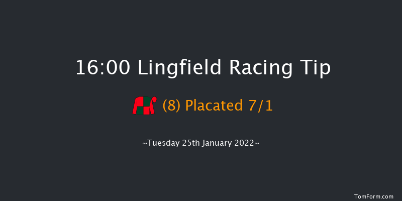 Lingfield 16:00 Handicap (Class 6) 10f Sun 23rd Jan 2022