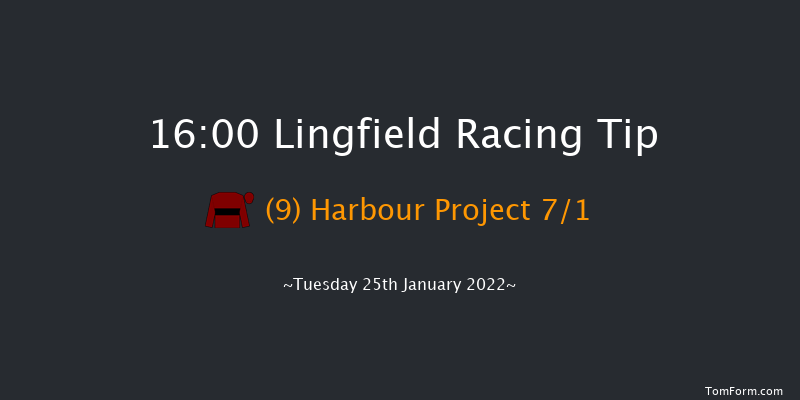 Lingfield 16:00 Handicap (Class 6) 10f Sun 23rd Jan 2022