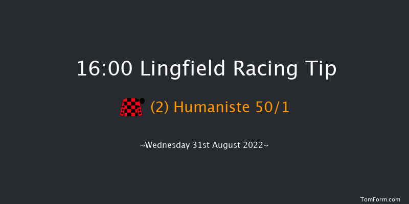 Lingfield 16:00 Handicap (Class 6) 16f Wed 24th Aug 2022