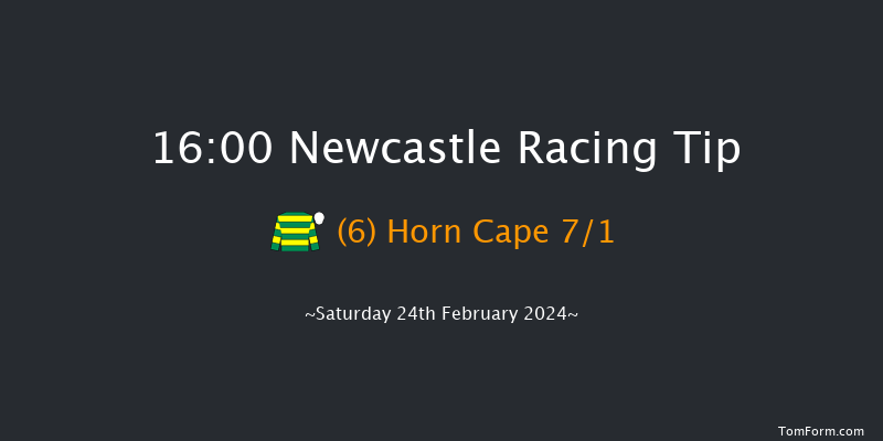 Newcastle  16:00 Handicap Hurdle (Class 3)
17f Thu 22nd Feb 2024