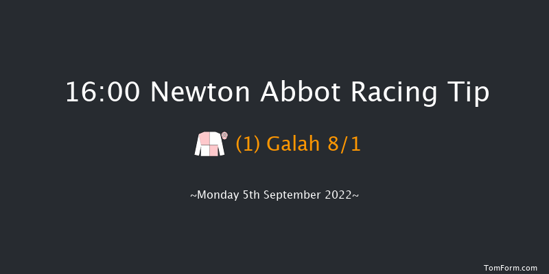 Newton Abbot 16:00 Handicap Hurdle (Class 5) 17f Tue 30th Aug 2022