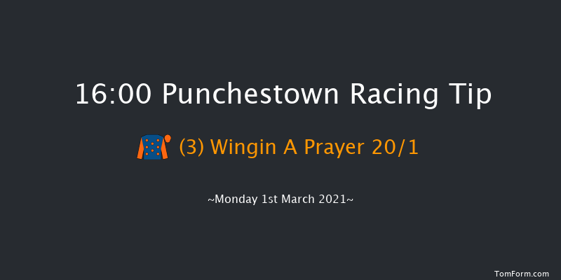 Pertemps Network Group Handicap Hurdle (Qualifier) Punchestown 16:00 Handicap Hurdle 24f Sun 14th Feb 2021