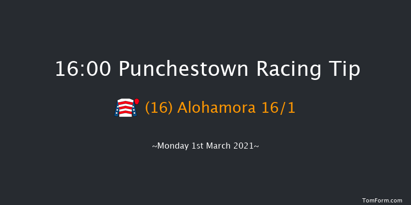 Pertemps Network Group Handicap Hurdle (Qualifier) Punchestown 16:00 Handicap Hurdle 24f Sun 14th Feb 2021