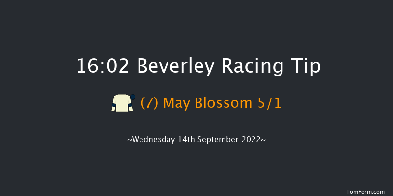 Beverley 16:02 Handicap (Class 4) 5f Sun 28th Aug 2022