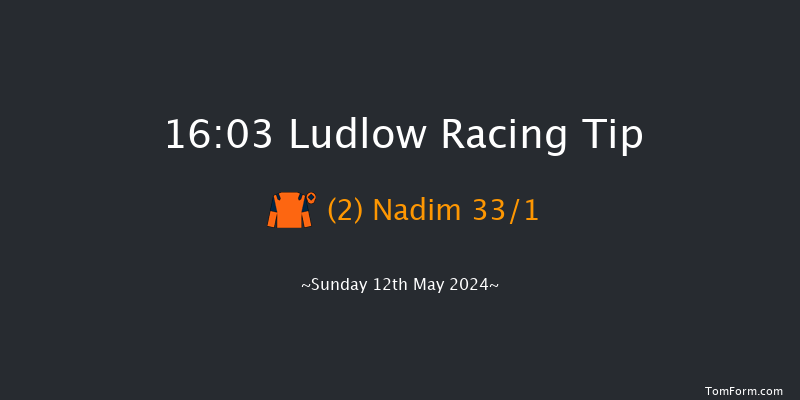 Ludlow  16:03 Handicap Hurdle (Class 5) 21f Wed 24th Apr 2024