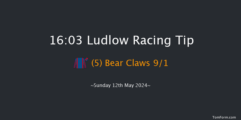 Ludlow  16:03 Handicap Hurdle (Class 5) 21f Wed 24th Apr 2024