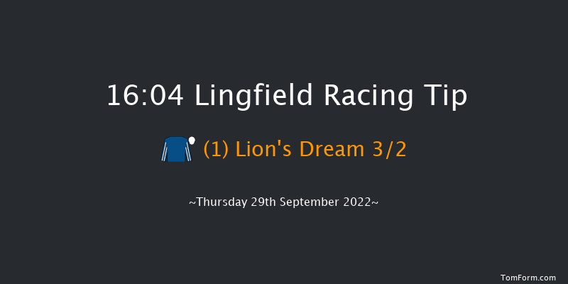 Lingfield 16:04 Stakes (Class 5) 8f Tue 20th Sep 2022