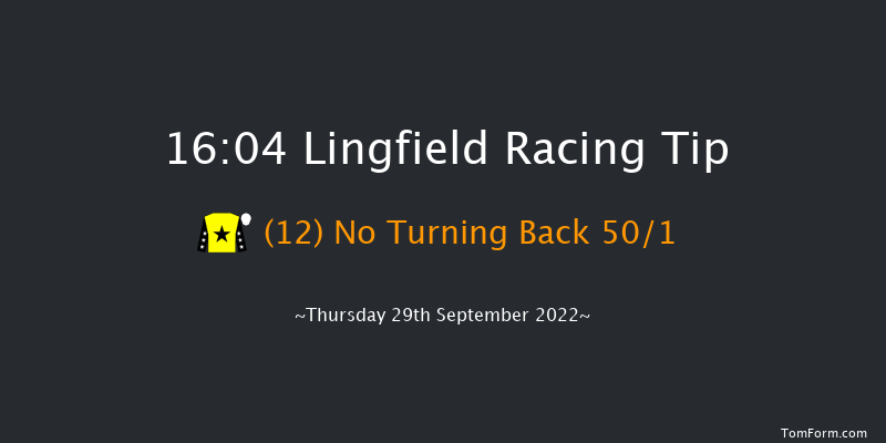 Lingfield 16:04 Stakes (Class 5) 8f Tue 20th Sep 2022