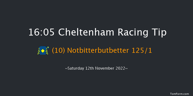 Cheltenham 16:05 NH Flat Race (Class 1) 16f Fri 11th Nov 2022