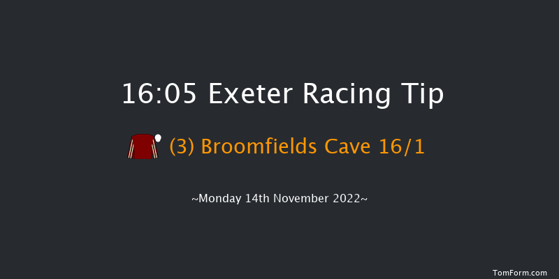 Exeter 16:05 NH Flat Race (Class 4) 17f Fri 4th Nov 2022