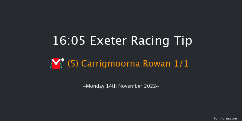 Exeter 16:05 NH Flat Race (Class 4) 17f Fri 4th Nov 2022