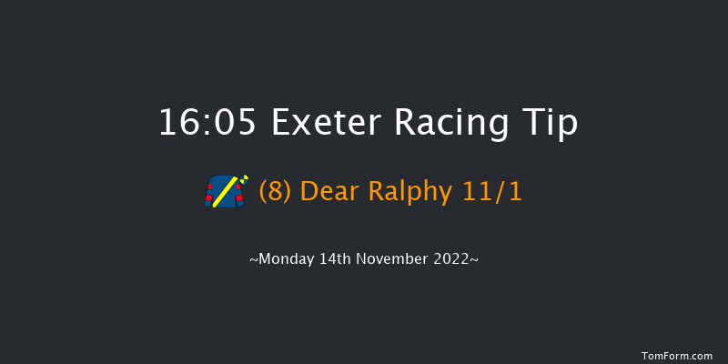 Exeter 16:05 NH Flat Race (Class 4) 17f Fri 4th Nov 2022