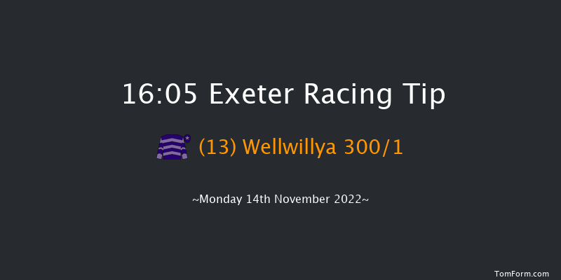 Exeter 16:05 NH Flat Race (Class 4) 17f Fri 4th Nov 2022