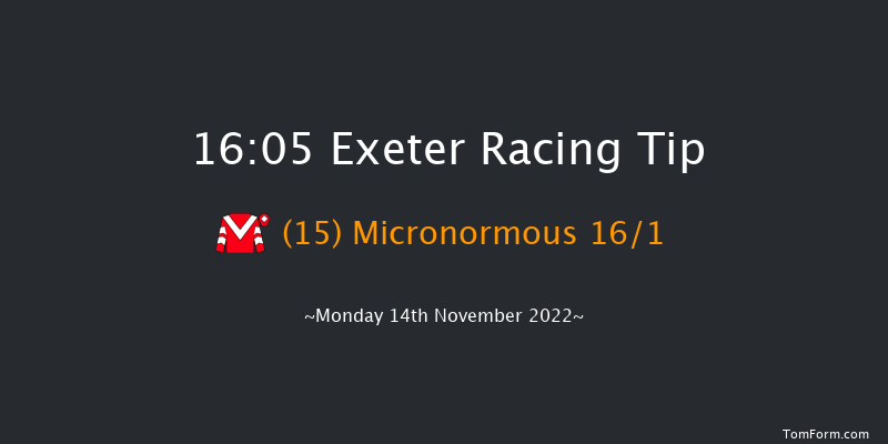 Exeter 16:05 NH Flat Race (Class 4) 17f Fri 4th Nov 2022