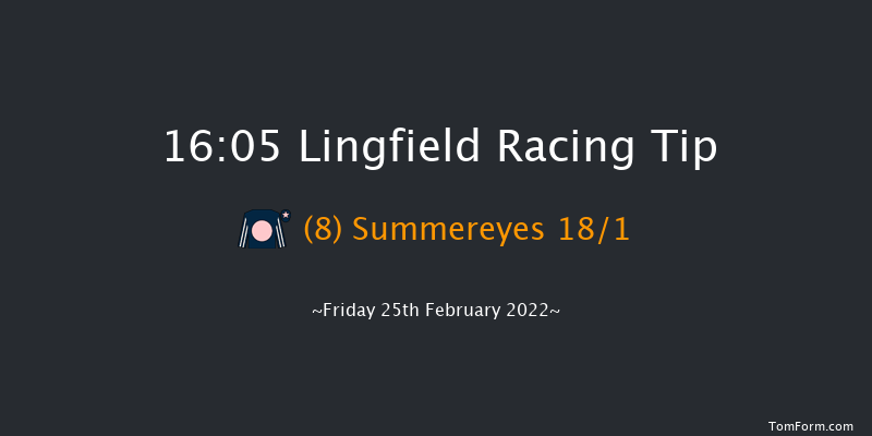 Lingfield 16:05 Handicap (Class 6) 8f Sat 19th Feb 2022